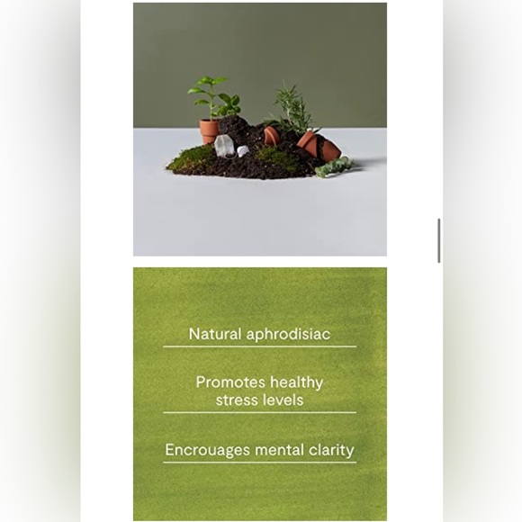 Rosemary Essential Oil. Pure, Natural Oil for Your Home Diffuser - Picture 7 of 10